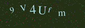 Validation image